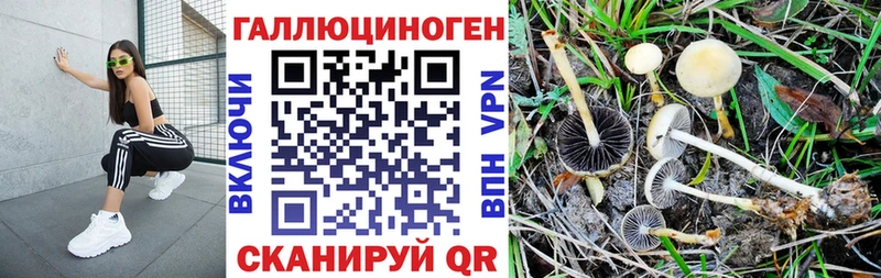 OMG вход  где купить наркоту  Заволжск  Галлюциногенные грибы Psilocybine cubensis 